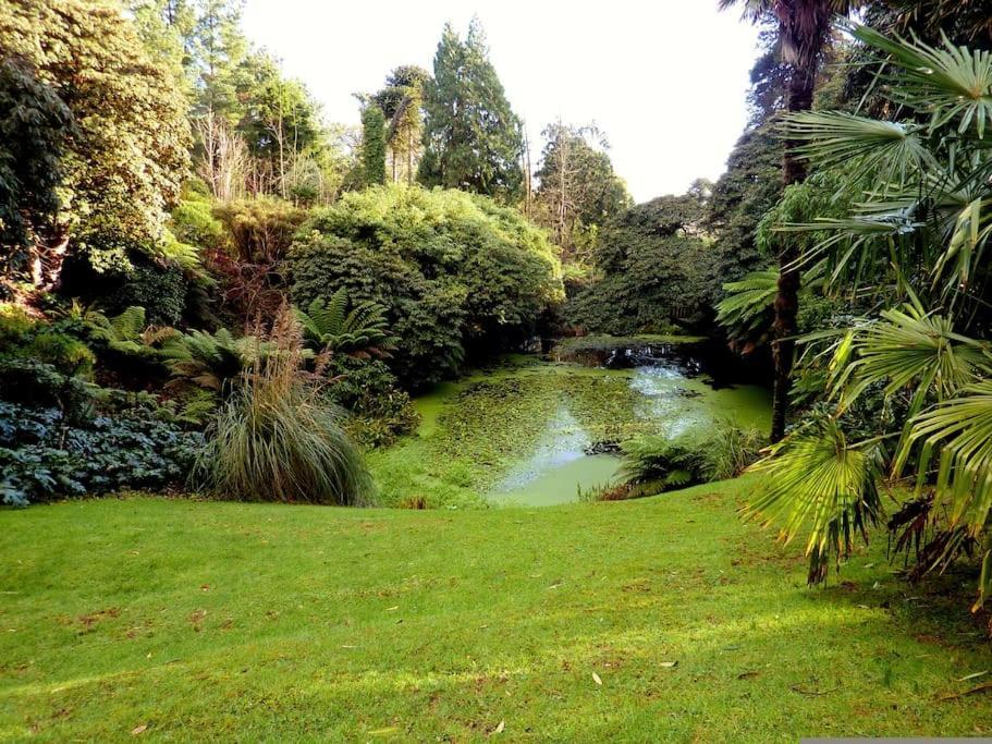 White Eden - Explore Cornwall From A Comfy Central Appartment سانت أوستيل المظهر الخارجي الصورة